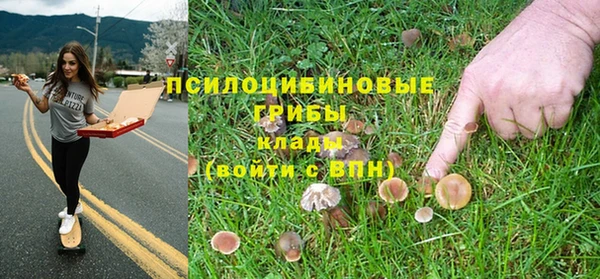 стаф Арсеньев